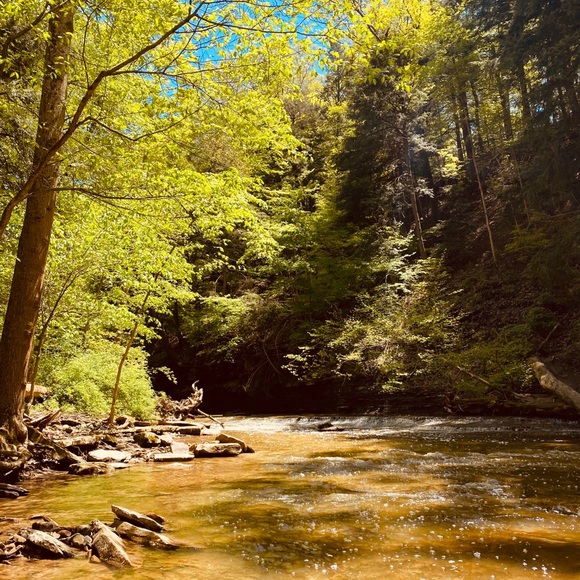 Meet your Posher, Leah - Picture 1 of 1